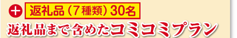 返礼品(7種類)30名まで含めたコミコミプラン